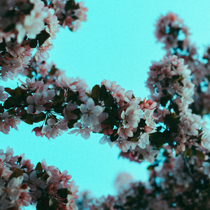 外国老奶奶逼视频
